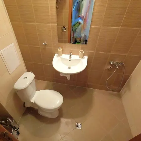 Apartament Darelina In The Center Of *